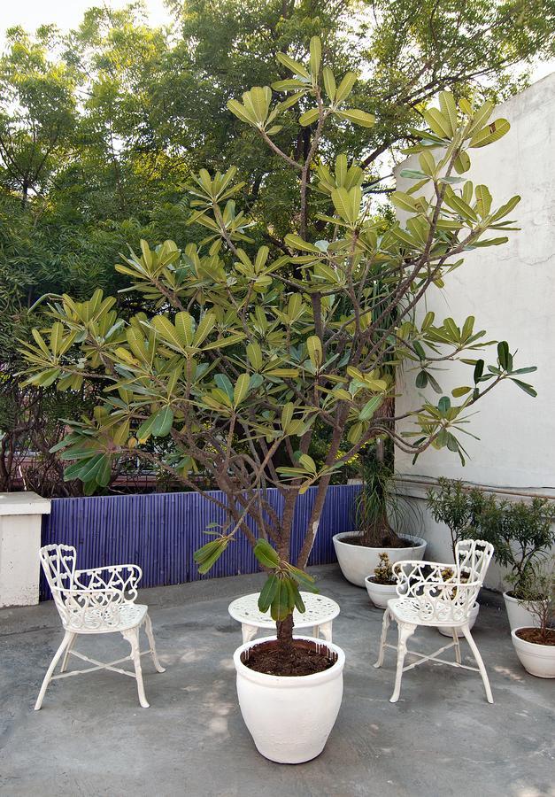 Bed and Breakfast Haveli Hauz Khas à New Delhi Extérieur photo